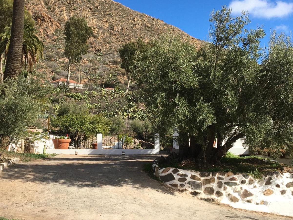 El Regalo De Mis Abuelos Santa Lucia De Tirajana Bagian luar foto